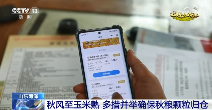央視聚焦 | CCTV13《新聞直播間》對(duì)山東農(nóng)擔(dān)助力秋糧顆粒歸倉進(jìn)行報(bào)道